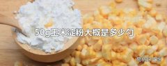 50g玉米淀粉大概是多少勺