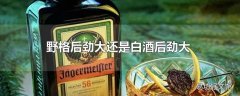 野格后劲大还是白酒后劲大