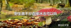 野生菌不炒直接冰冻可以吗