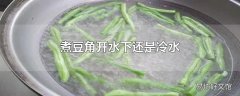 煮豆角开水下还是冷水