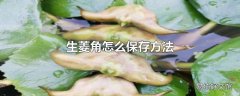 生菱角怎么保存方法