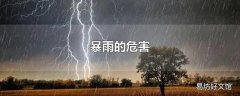 暴雨的危害