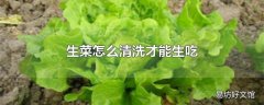 生菜怎么清洗才能生吃