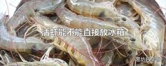 活虾能不能直接放冰箱