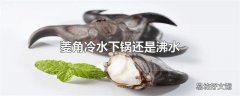 菱角冷水下锅还是沸水