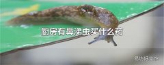 厨房有鼻涕虫买什么药