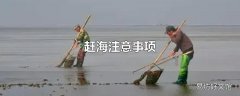 赶海注意事项