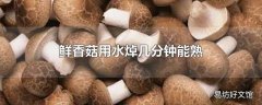 鲜香菇用水焯几分钟能熟