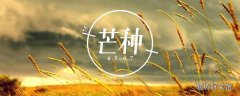 芒种又被称为什么