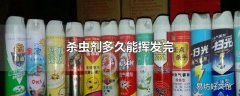 杀虫剂多久能挥发完