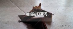 蝙蝠能打死吗