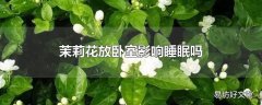 茉莉花放卧室影响睡眠吗