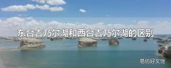 东台吉乃尔湖和西台吉乃尔湖的区别