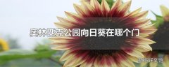 奥林匹克公园向日葵在哪个门