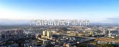 广西钟山县属于哪个市