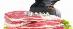 黑猪肉为什么贵