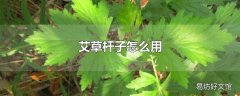 艾草杆子怎么用