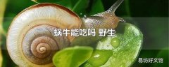 蜗牛能吃吗 野生