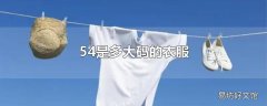 54是多大码的衣服