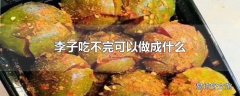 李子吃不完可以做成什么