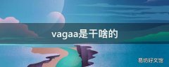 vagaa是干啥的