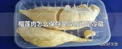 榴莲肉怎么保存是冷冻还是冷藏