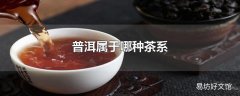 普洱属于哪种茶系