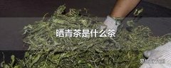 晒青茶是什么茶