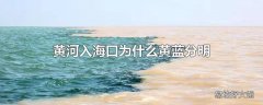 黄河入海口为什么黄蓝分明