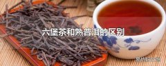 六堡茶和熟普洱的区别