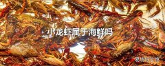 小龙虾属于海鲜吗