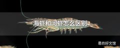 海虾和河虾怎么区别