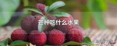 芒种吃什么水果