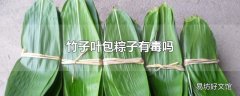 竹子叶包粽子有毒吗