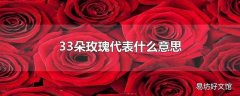 33朵玫瑰代表什么意思