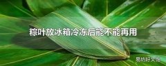 粽叶放冰箱冷冻后能不能再用