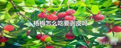 杨梅怎么吃要剥皮吗