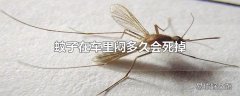 蚊子在车里闷多久会死掉