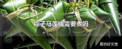 粽子马莲绳需要煮吗