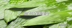 粽子叶在哪里买