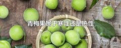 青梅果属于寒性还是热性