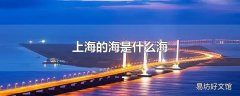 上海的海是什么海