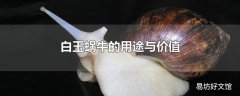 白玉蜗牛的用途与价值