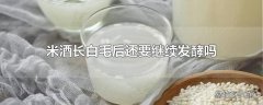 米酒长白毛后还要继续发酵吗