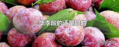 三华李酸的还是甜的