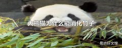 大熊猫为什么能消化竹子