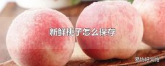 新鲜桃子怎么保存