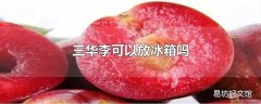 三华李可以放冰箱吗