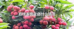 荔枝表面变白什么情况