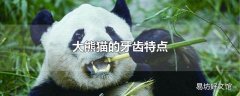 大熊猫的牙齿特点